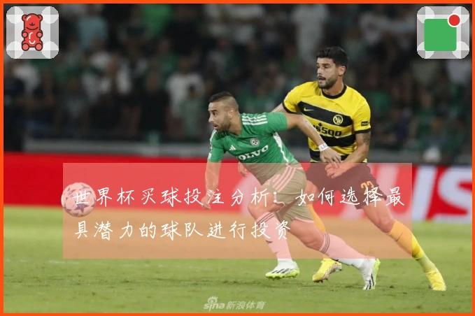 世界杯买球投注分析：如何选择最具潜力的球队进行投资