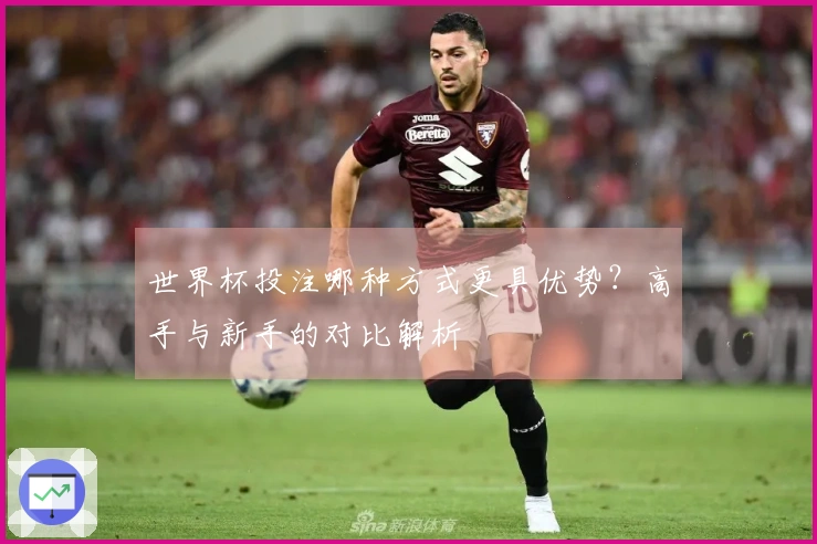 世界杯投注哪种方式更具优势？高手与新手的对比解析