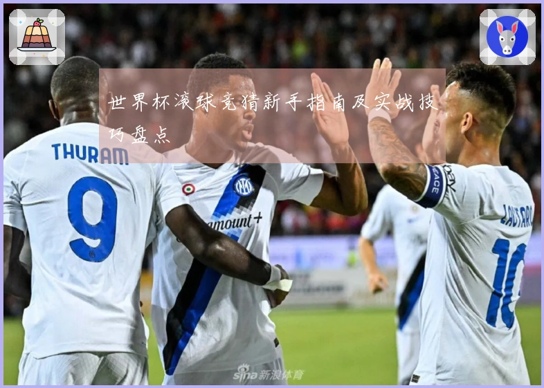 世界杯滚球竞猜新手指南及实战技巧盘点