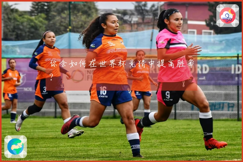 你会如何在世界杯竞猜中提高胜率？