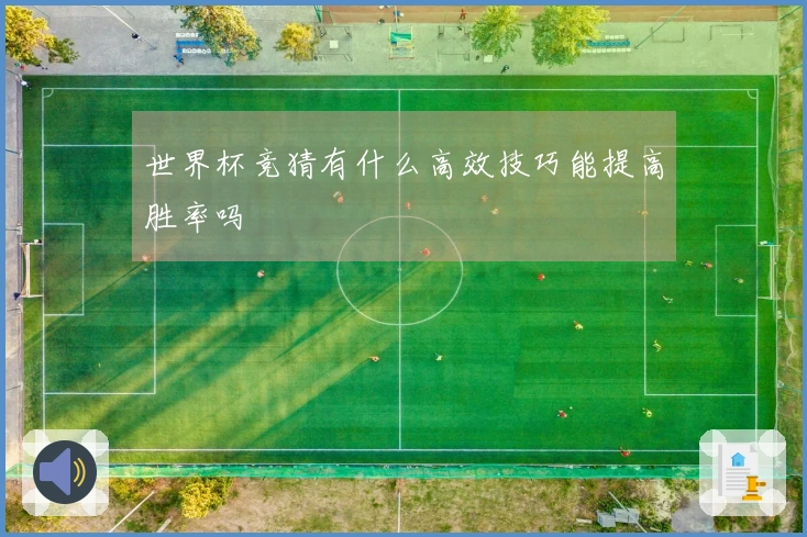 世界杯竞猜有什么高效技巧能提高胜率吗