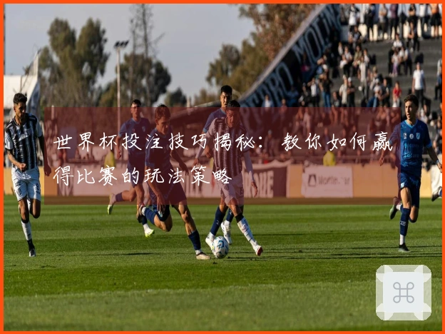 世界杯投注技巧揭秘：教你如何赢得比赛的玩法策略